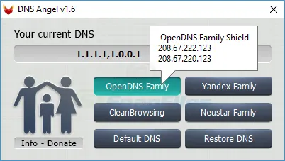 DNS Angel Capture d'écran 2