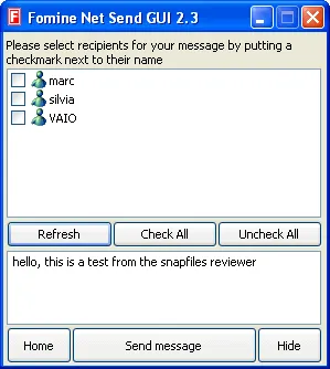 Fomine Net Send GUI Capture d'écran 1