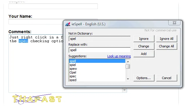 ieSpell Capture d'écran 2