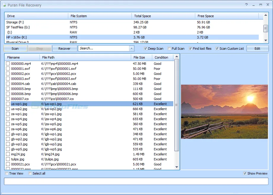 Puran File Recovery Capture d'écran 1